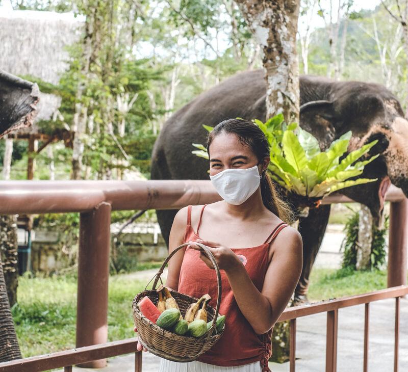 Phuket Elephant Sanctury