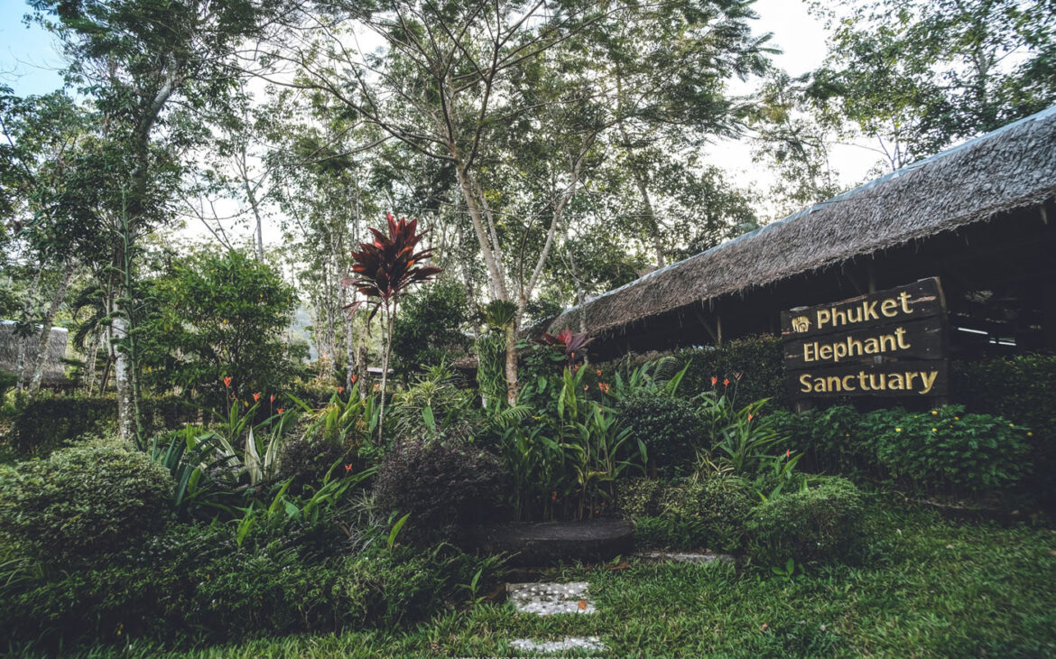 Phuket Elephant Sanctury