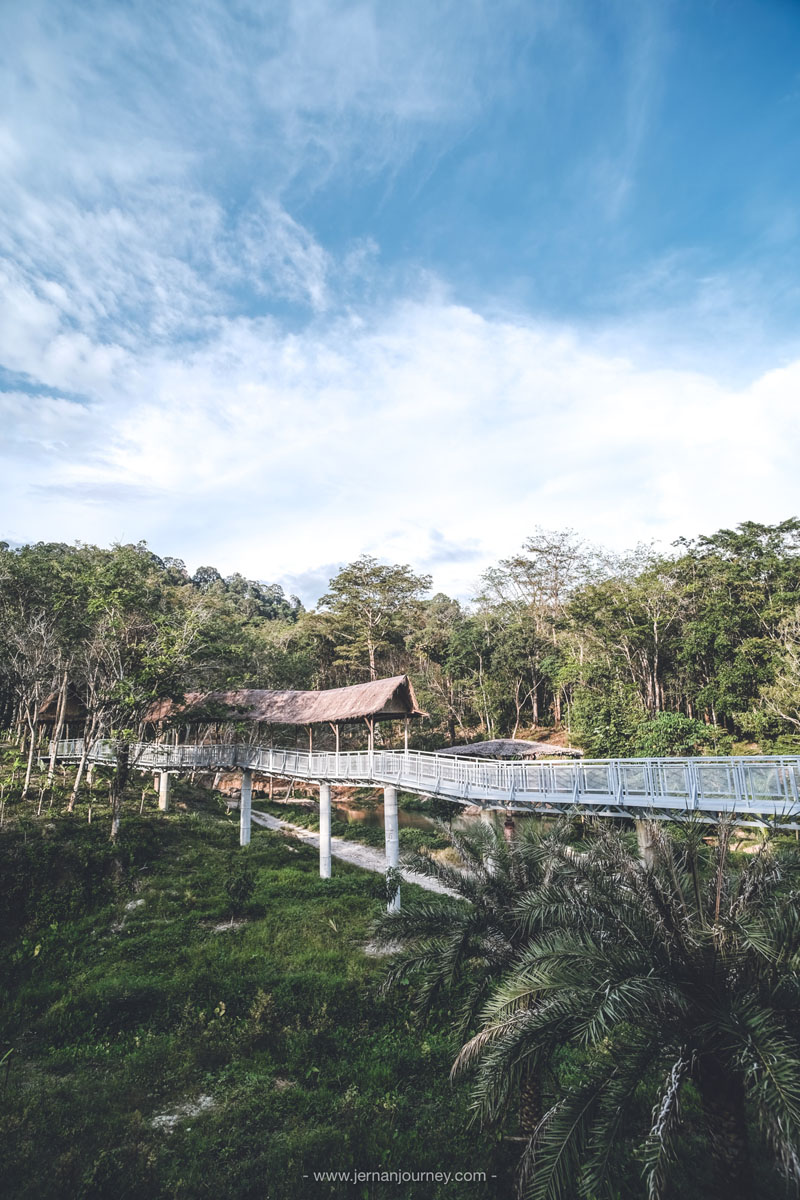 Phuket Elephant Sanctury